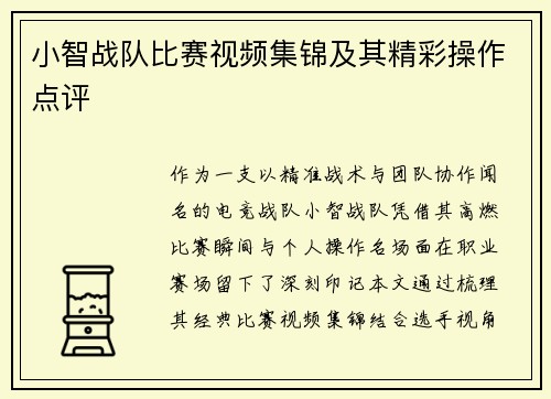 小智战队比赛视频集锦及其精彩操作点评